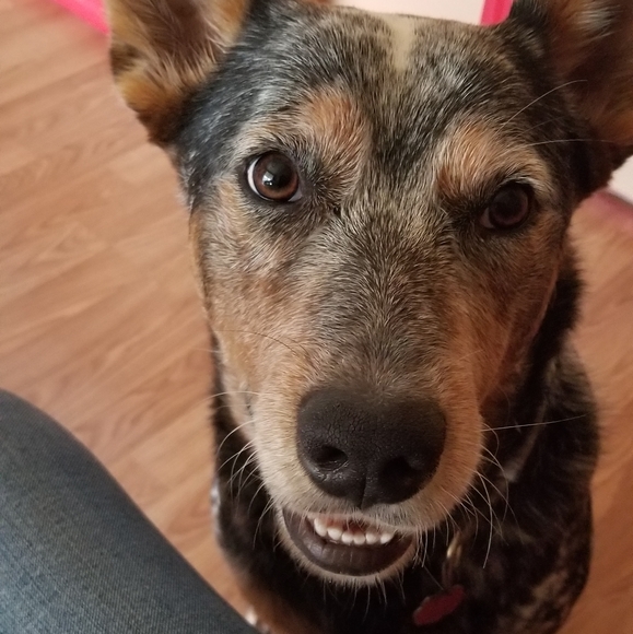 Meet Your Posher - Picture 2 of 4